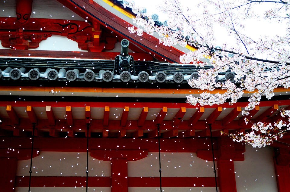 japan school trip