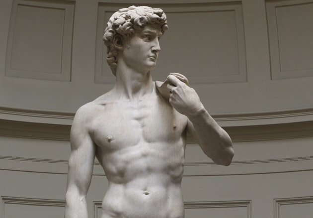 See Michaelangelo&#039;s David on the Renaissance Italy tour