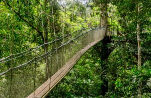 school residential camp in malaysia