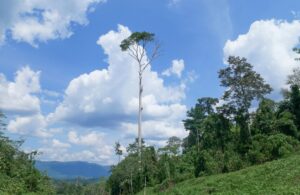 school residential camp in malaysia