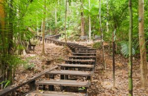school residential camp in malaysia