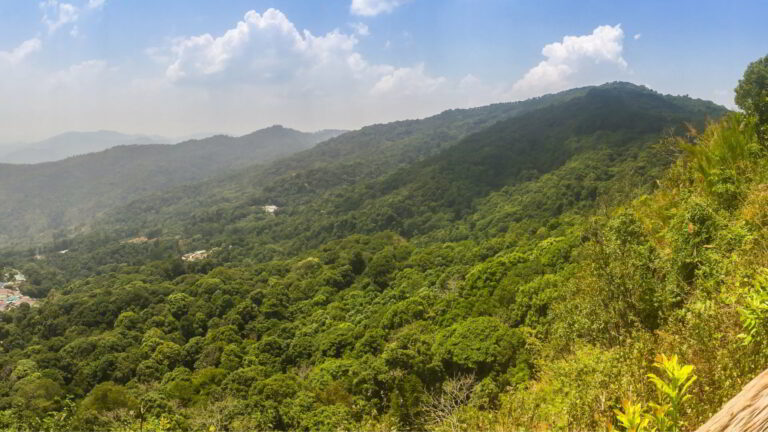 school trip to thailand