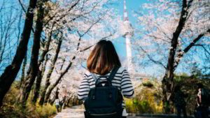 korea history school trip