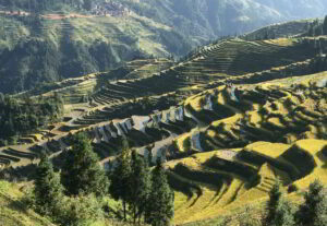 CAS Trip to China Guizhou