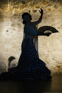 Flamenco dancer, Madrid
