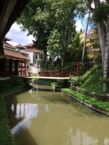 school trip to Indonesia