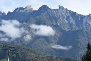 Wildlife conservation in Borneo