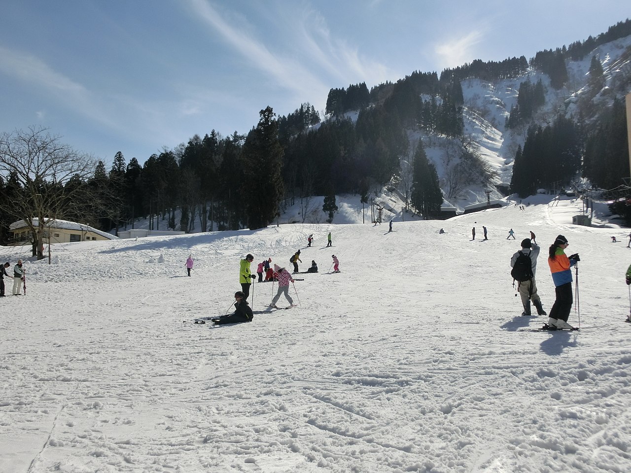 Ski School Trips
