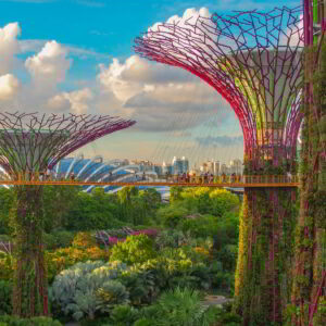 Singapore Gardens by the Bay MBA trip in Singapore