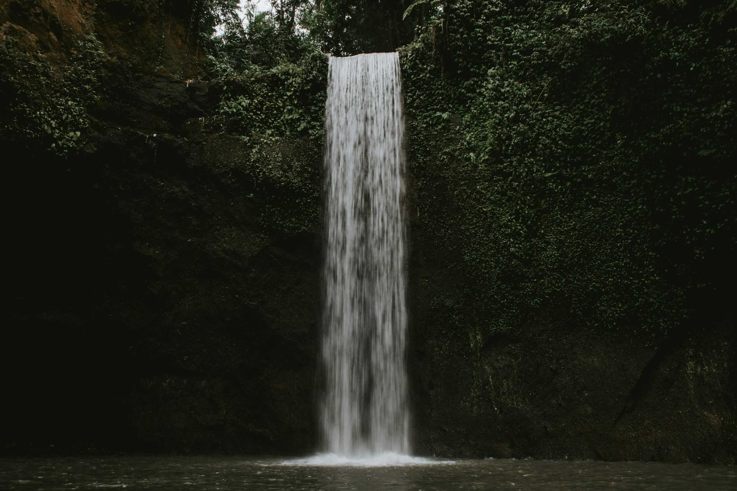 florian-giorgio-0lQIJQ2aqVQ-unsplash