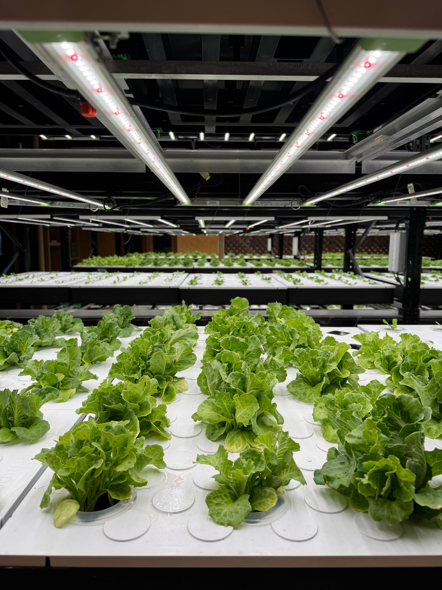 Hydroponic farming